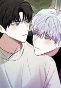 One Shot Love