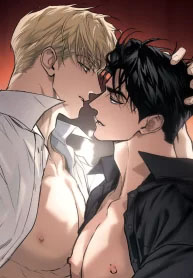 Flashlight new cover