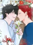 A Fleeting Spring Dream